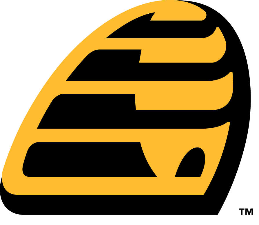 New Britain Bees 2016-Pres Alternate Logo v2 iron on transfers for clothing